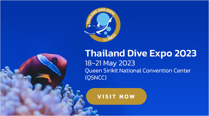 Traveler & Outdoor Expo