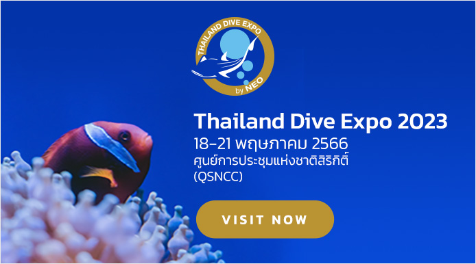 Traveler & Outdoor Expo