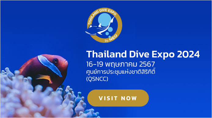 Traveler & Outdoor Expo